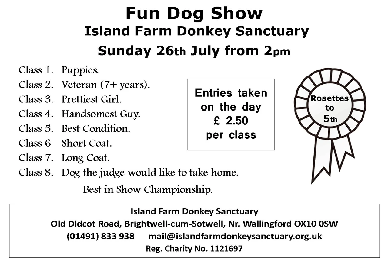 26th July Fun Dog Show