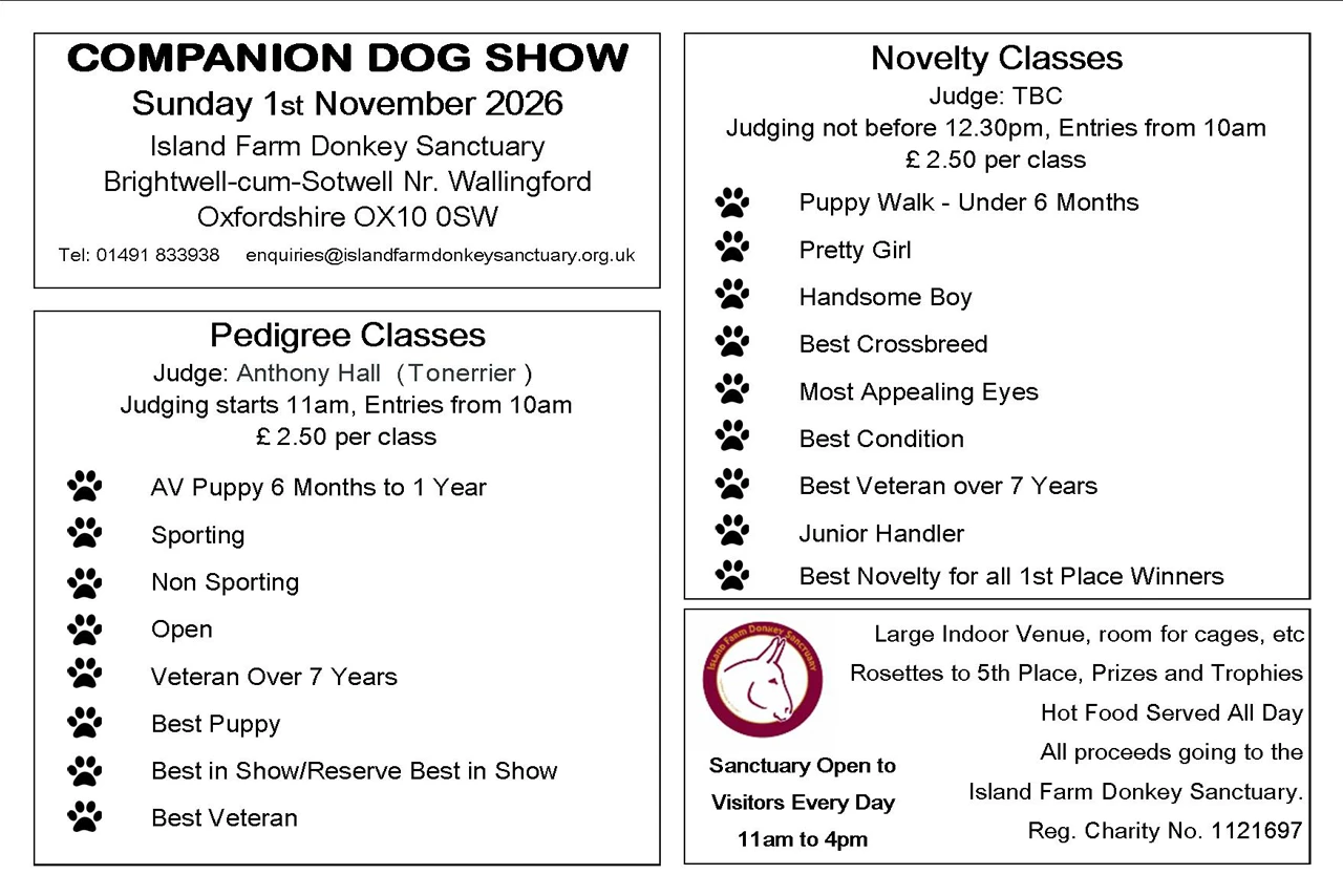 1st November Companion Dog Show