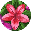 Lara Moisii Avatar